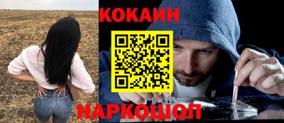 прущие крисы Будённовск