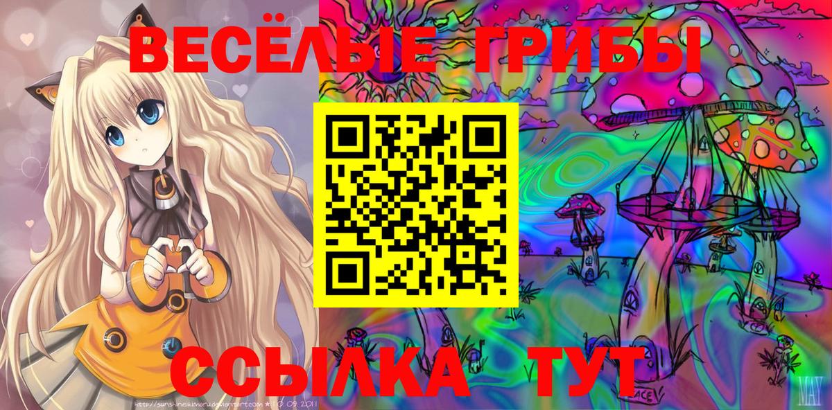 Псилоцибиновые грибы прущие грибы  Вход с VPN  Партизанск 